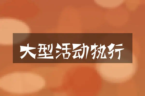 大型活动执行